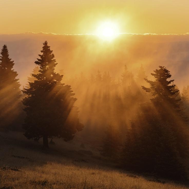 Scenic nature travel hero image